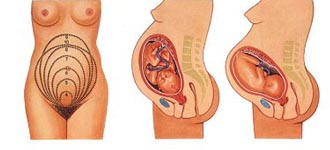 Анализы крови 2 триместра беременности thumbnail