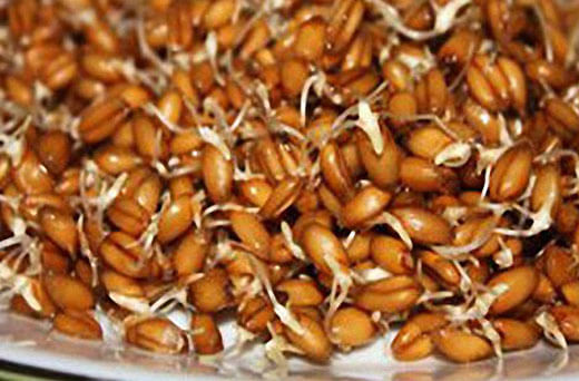 Какой витамин содержится в пшенице thumbnail